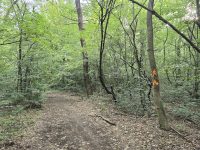 Trasee oficiale pentru biciclete in Padurea Baneasa